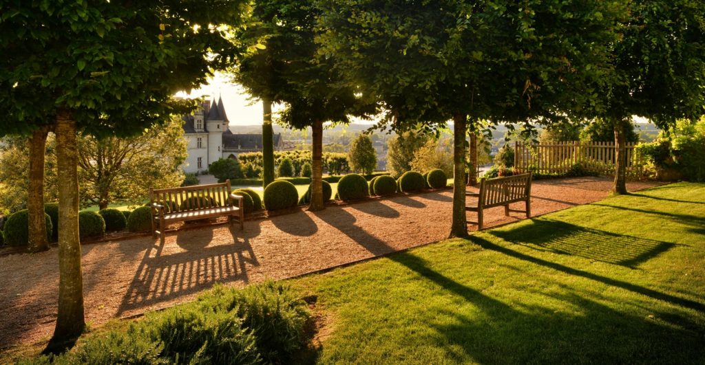 jardin . Château d'Amboise