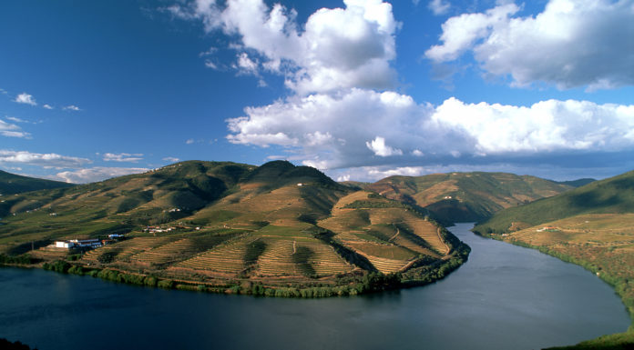 Valle del Douro - paesaggio