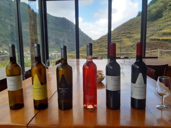Madeira wine tour_ Cantina Barbusano