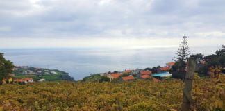 Quinta das Vinhas - Madeira