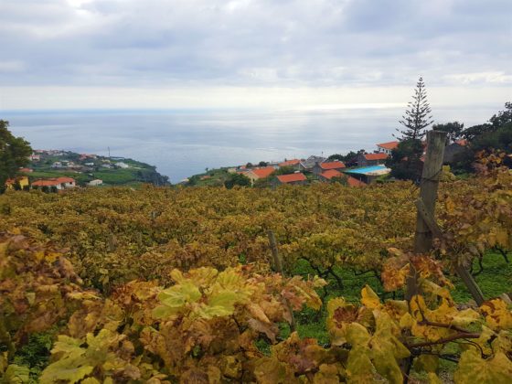 Quinta das Vinhas - Madeira