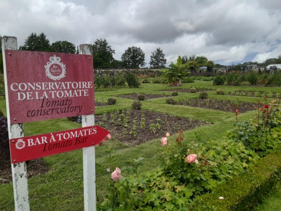 Chateau de la Bourdaisière_ Entrata dell'orto dove si coltivano 700 tipi di pomodori non ibridati