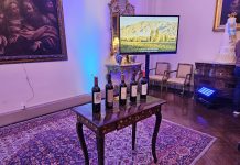 giornata del vino Malbec argentino